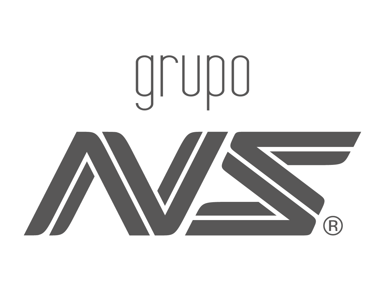 Grupo NS